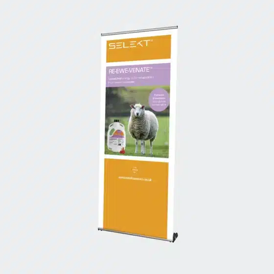 Premium Roller Banner