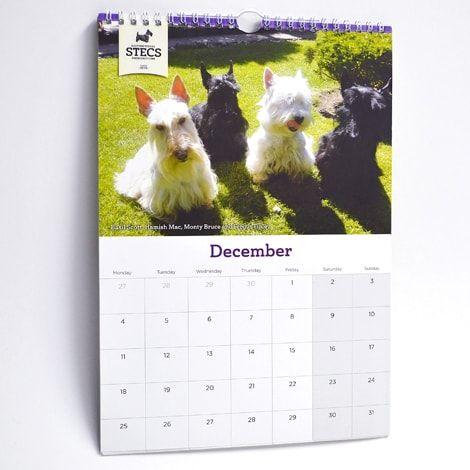 Printed calendars