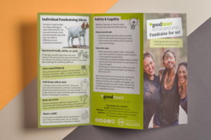 folded leaflet showing lots of info and pictures