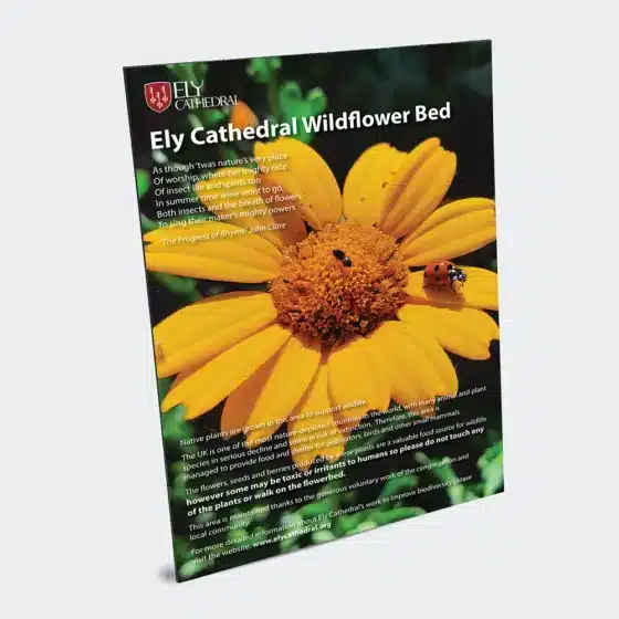 Dibond Sign Printing