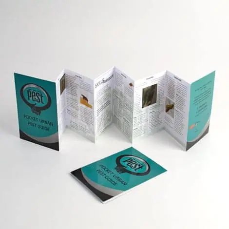 concertina card printing